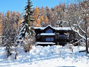 B&B / Chambre d'hôtes La Sauvagine B&B Skis aux pieds 4 Chemin de l'Aigle 05200 Les Orres Provence-Alpes-Côte d\'Azur