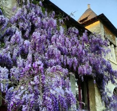 La Sembelie 24200 Carsac-Aillac
