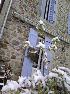 La tanière
