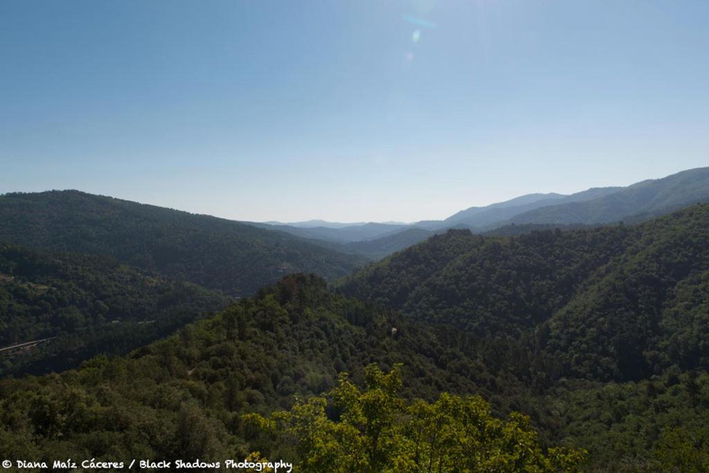 La vallée de Gaïa Lieu dit le Cap, 48160 Saint-Hilaire-de-Lavit