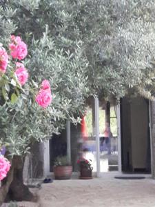 La Vigne Des Heures Claires