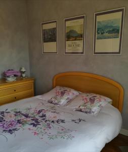 la villa des chats