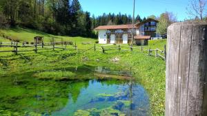 B&B / Chambre d'hôtes Labenbachhof Freizeit-Schulungs und Tagungszentrum 7 Froschsee 83324 Ruhpolding Bavière