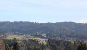 B&B / Chambre d'hôtes Landhaus Sonne 7 Dorfstraße 88138 Hergensweiler Bavière