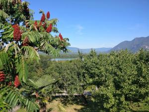 B&B / Chambre d'hôtes Le Belvue La Cour 254 rue de la Vierge 73310 Chanaz Rhône-Alpes