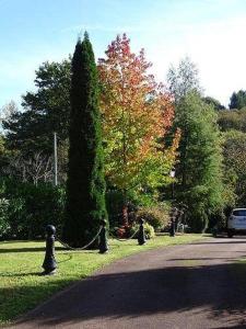 B&B / Chambre d'hôtes LE BOUILLARY 7 Route de Boullary 87150 Cussac Limousin