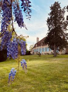 B&B / Chambre d'hôtes Le brûlon 71110 Le Bourg 71110 Bourg-le-Comte Bourgogne