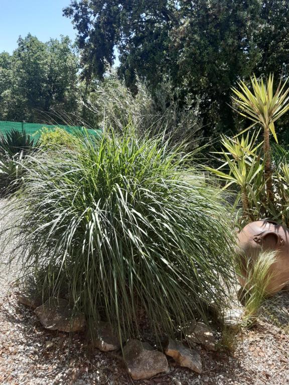 Le calme de la garrigue 6 Lotissement les Oliviers, 30190 Russan