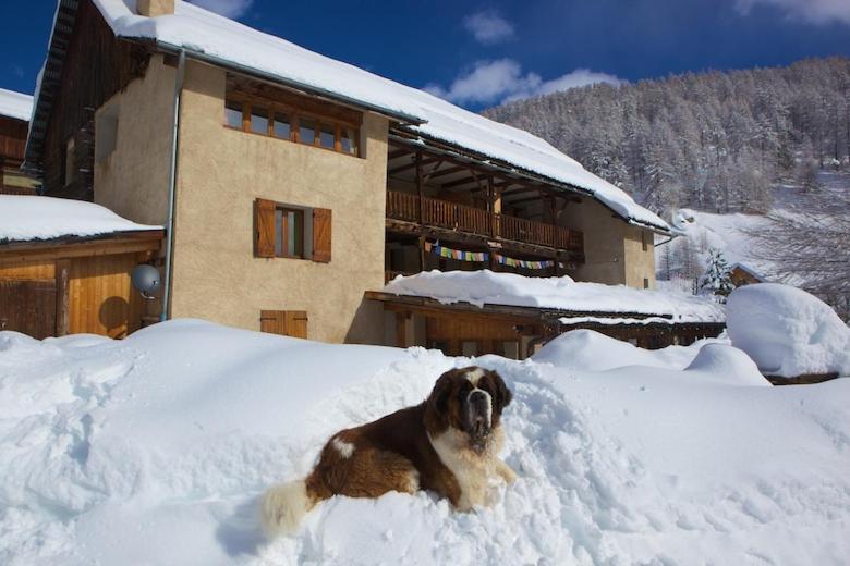 B&B / Chambre d'hôtes Le Chalet Viso Le Chalet Viso,  La Chalp 05350 Arvieux