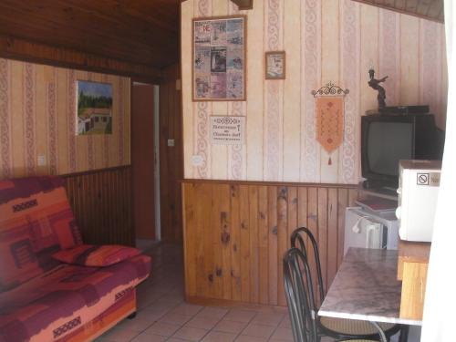 LE CHAMOIS DORT
