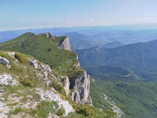 LE CHAMOIS DORT