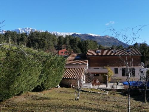 LE CHAMOIS DORT