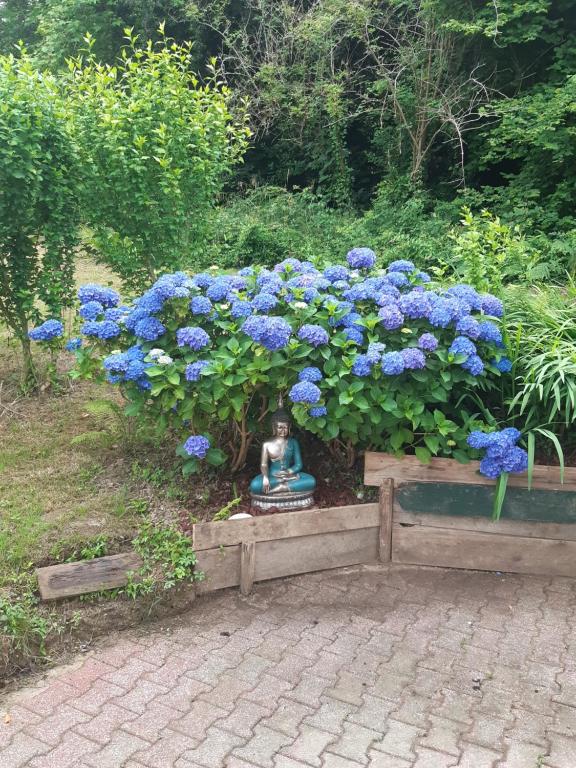 B&B / Chambre d'hôtes Le chant des oiseaux 5 Impasse Hiriart 64250 Cambo-les-Bains