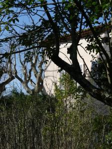 Le charme d'une vieille bastide provençale
