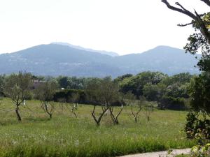 B&B / Chambre d'hôtes Le charme d'une vieille bastide provençale 332 Chemin des Sigues 83210 Solliès-Pont Provence-Alpes-Côte d\'Azur