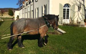 le clos des belvals