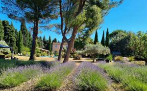 Le Clos des Cyprès Maison d'Hôtes de Charme