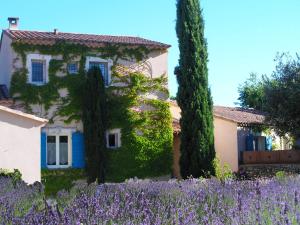 Le clos des lavandes-Luberon