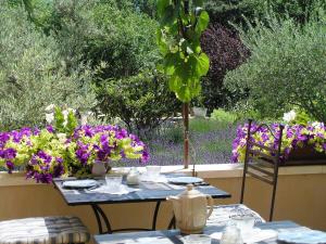 Le clos des lavandes-Luberon