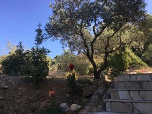 Le Clos en Provence