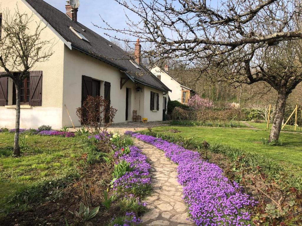 B&B / Chambre d'hôtes Le clos fleuri 27 rue l'ecrevissiere 41150 Onzain