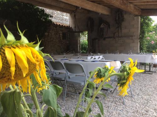 Le Coing des Vignes