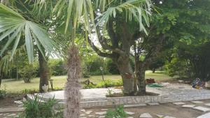 Le Domaine de Canesse