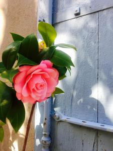 Le Flamant Rouge Guesthouse