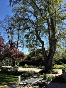 Le Grand Arbre