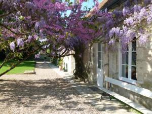 B&B / Chambre d'hôtes Le Grand Saint-Marc 2 Rue de la Perchaie 41100 Vendôme Région Centre