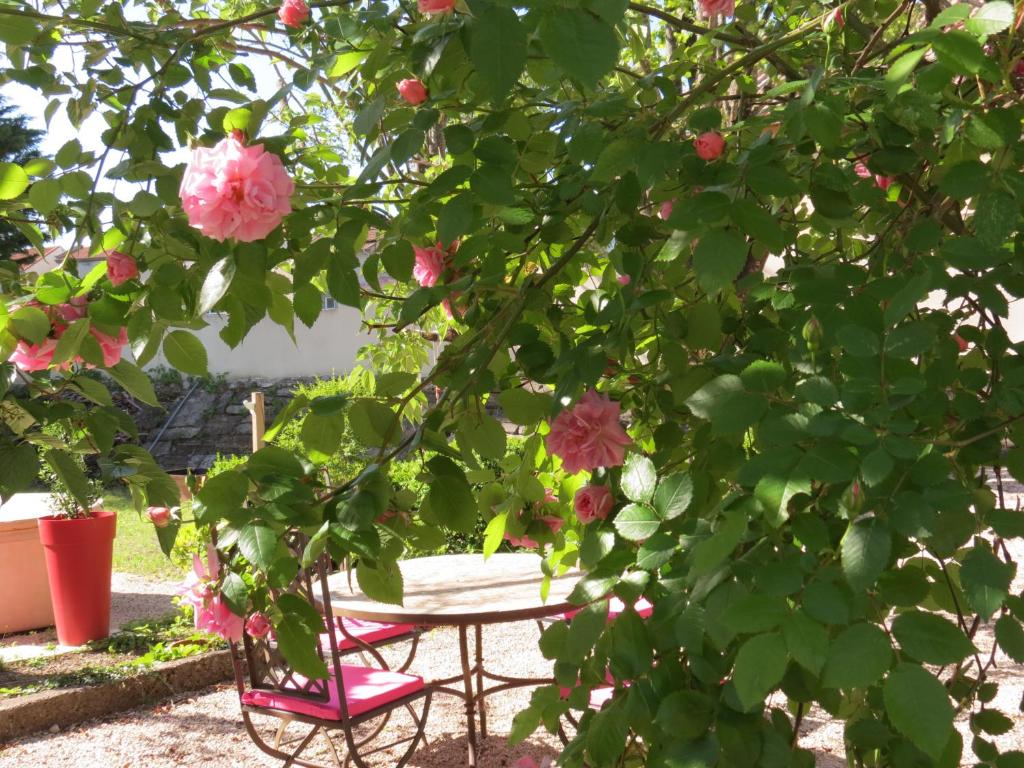 B&B / Chambre d'hôtes Le Jardin 12 Rue De La Concorde 05300 Laragne