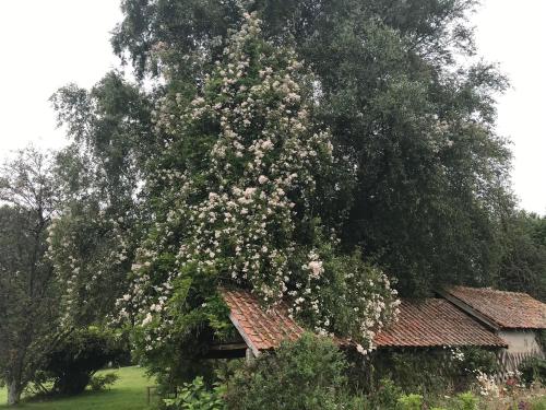 Le Jardin Sauvage