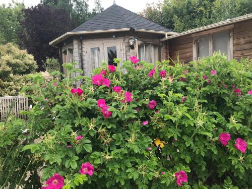 Le Jardin Sauvage
