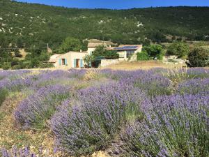 B&B / Chambre d'hôtes Le Jas du Mont Ventoux Le Jas de Verdolier Hameau de Verdolier 84390 Sault Provence-Alpes-Côte d\'Azur