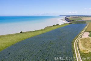 B&B / Chambre d'hôtes Le lit de la Saâne 1300 rue du Carel 76730 Auzouville-sur-Saâne Normandie