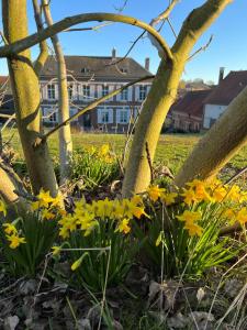 B&B / Chambre d'hôtes Le Logis d’Anne-Sophie 1 Gr Grande Rue 80340 Chuignolles Picardie