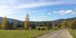 Le Mapillon