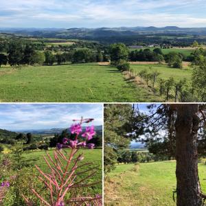 B&B / Chambre d'hôtes Le Marconnès Le Marconnès 43420 Saint-Arcons-de-Barges Auvergne