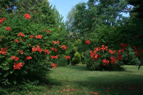 Le Mas De La Cigale Bleue, Caumont Sur Durance
