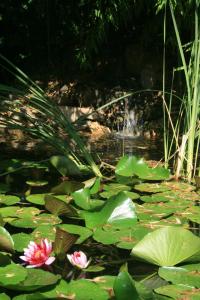 Le Mas De La Cigale Bleue, Caumont Sur Durance