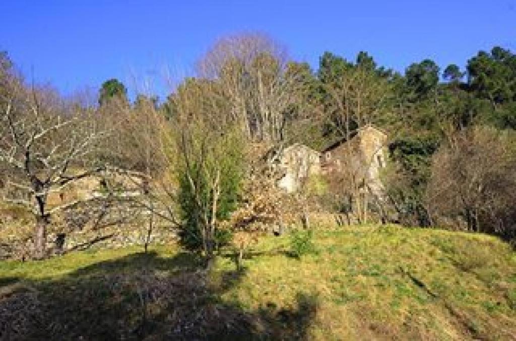 B&B / Chambre d'hôtes Le mas des sources cevenol Le chambon AU MAS CEVENOL lieu dit le thau 30450 Chambon