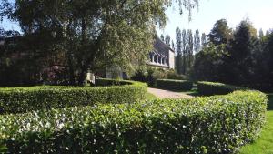 Le Moulin de Chareau