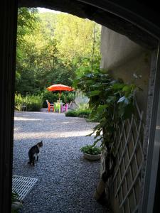 B&B / Chambre d'hôtes Le Moulin de Gauty Saint Jean d'Alcas 12250 Saint-Jean-et-Saint-Paul Midi-Pyrénées