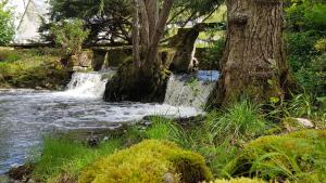 Le Moulin Hodoux