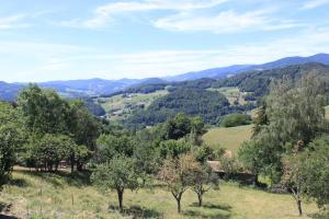 B&B / Chambre d'hôtes Le nid du Kaloui le Kalblin 68240 Fréland Alsace