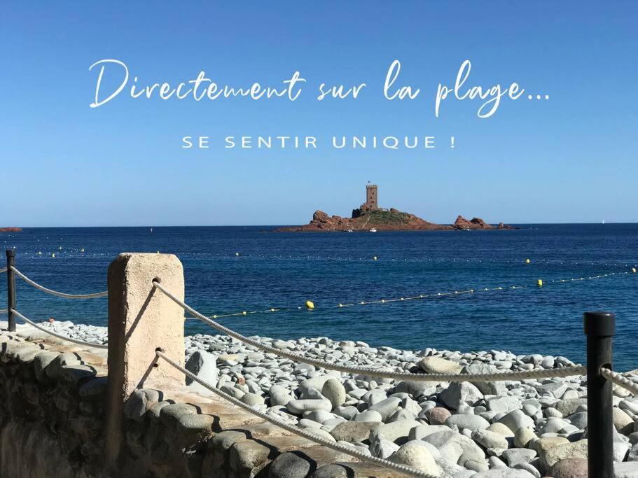 Le Perroquet Vert