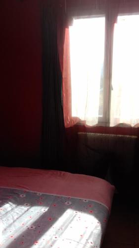 Le petit coin tranquille