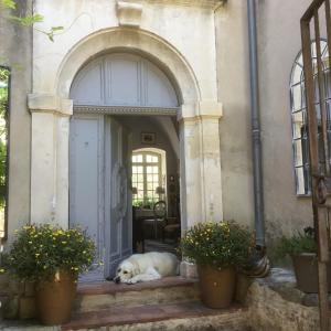 B&B / Chambre d'hôtes Le petit Figuier 23 rue du Poilu 13640 La Roque-dʼAnthéron Provence-Alpes-Côte d\'Azur