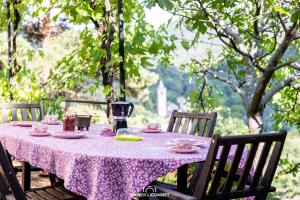 B&B / Chambre d'hôtes Le Petit Paradis Les Vignes de la Coste 34390 Prémian Languedoc-Roussillon