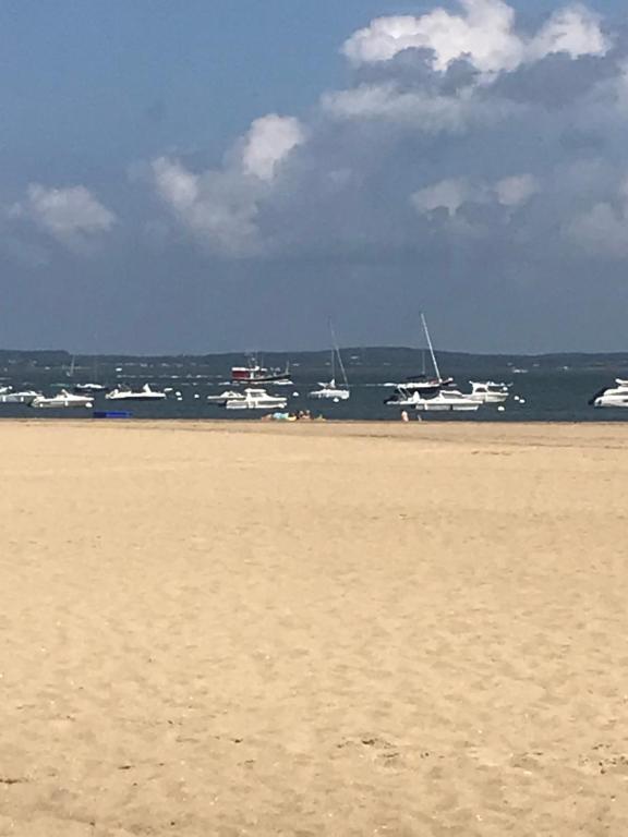 Le Provence 106 Boulevard de la Plage, 33120 Arcachon